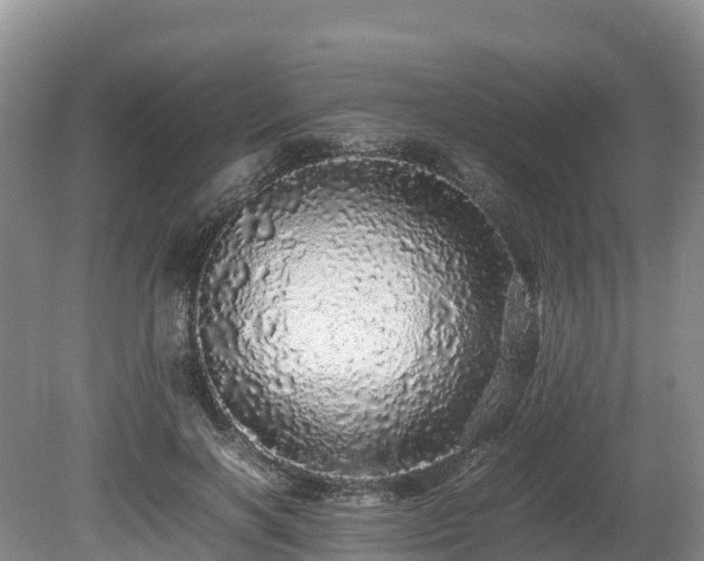 X0000080680646200612221144