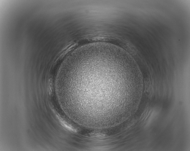 X0000080680648200612221144