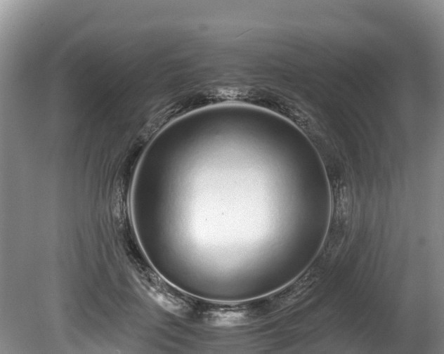 X0000080680651200612221144