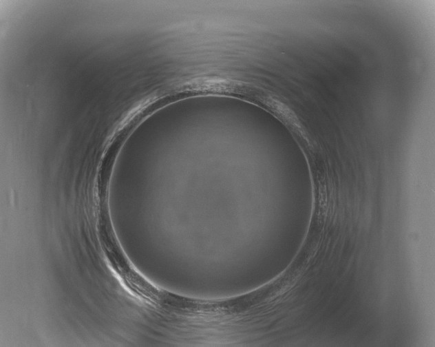 X0000080680674200612221143