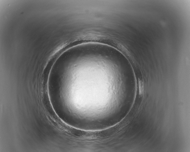 X0000080680675200612221143