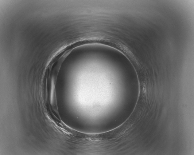 X0000080680676200612221143