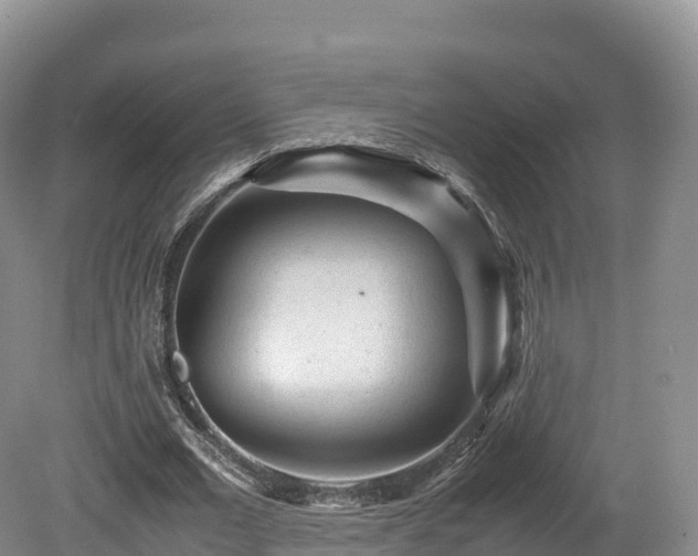 X0000080680677200612221143