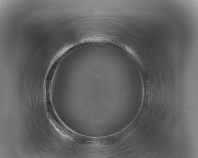 X0000080680678200612221143