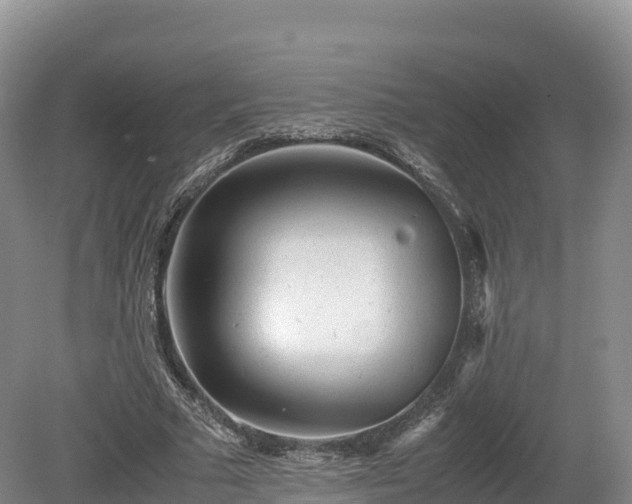X0000080680681200612221143