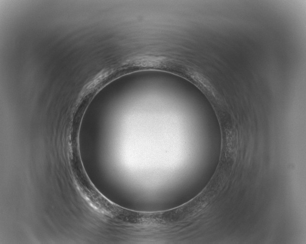 X0000080680682200612221143