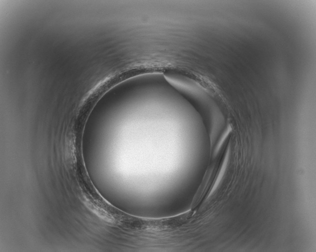 X0000080680684200612221143