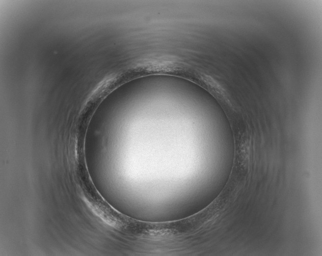 X0000080680686200612221143