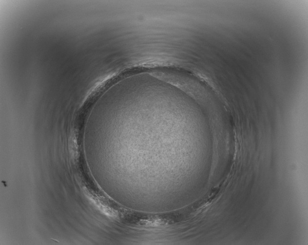 X0000080680688200612221143