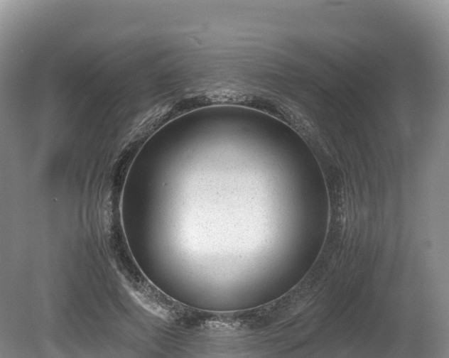 X0000080680690200612221143