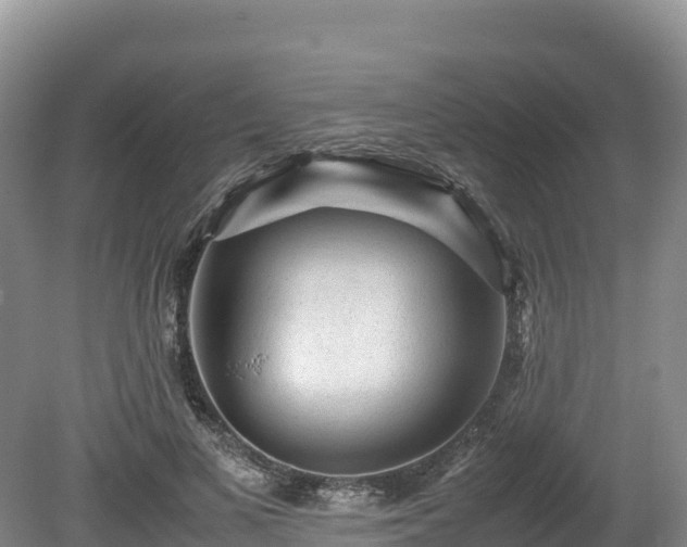 X0000080680693200612221143