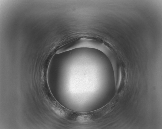 X0000080680700200612221143