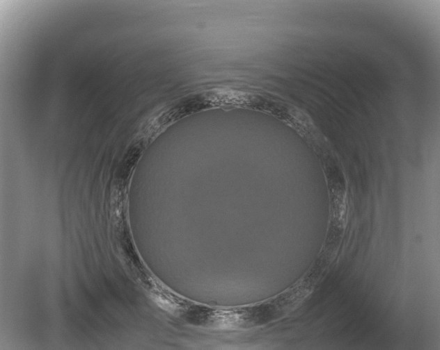 X0000080680701200612221143