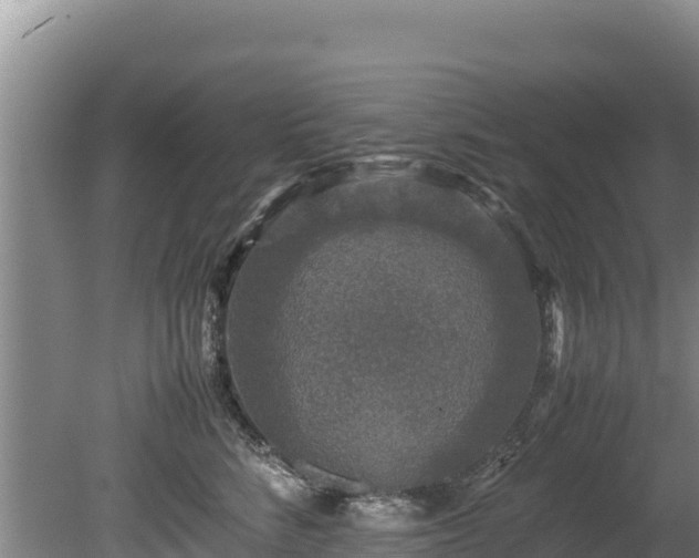 X0000080680712200612221143