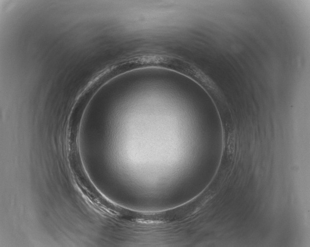 X0000080680722200612221142
