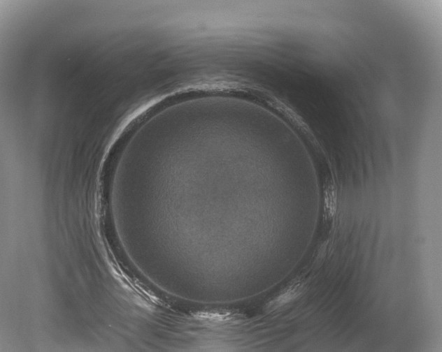 X0000080680724200612221142