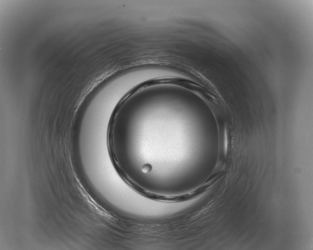 X0000080680725200612221142