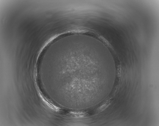 X0000080680726200612221142