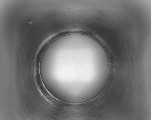 X0000080680728200612221142
