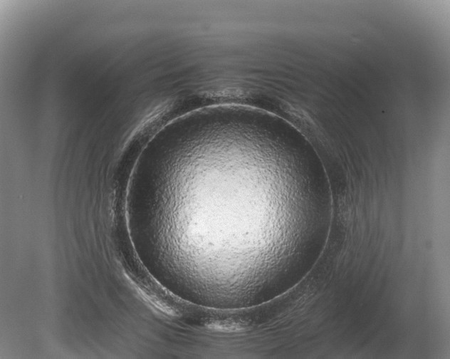 X0000080680735200612221142