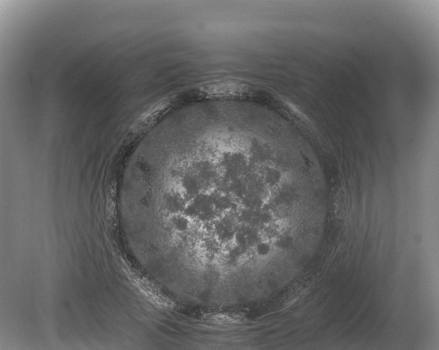 X0000080680737200612221142