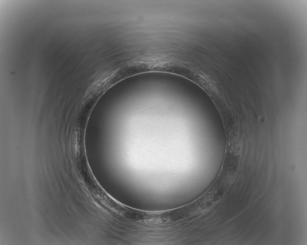 X0000080680740200612221142