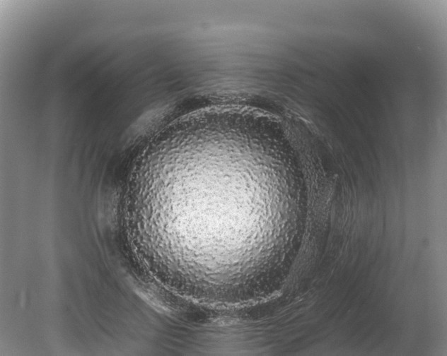 X0000080680742200612221142