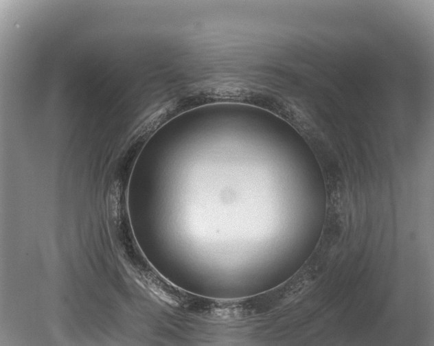 X0000080680744200612221142