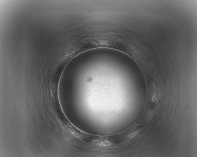 X0000080680747200612221142