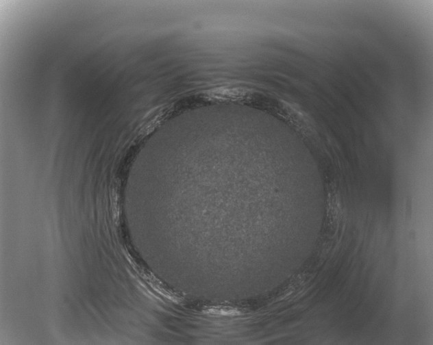 X0000080680749200612221142