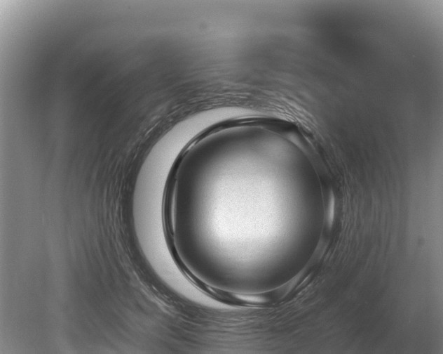 X0000080680750200612221142