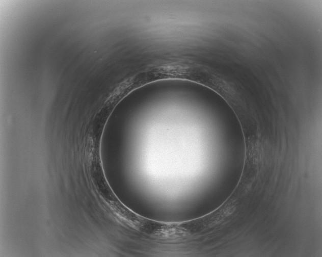 X0000080680752200612221142