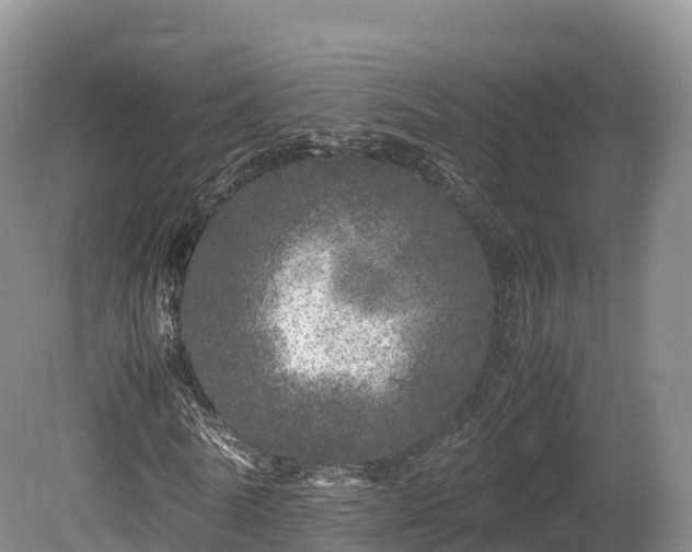 X0000080680770200612221142