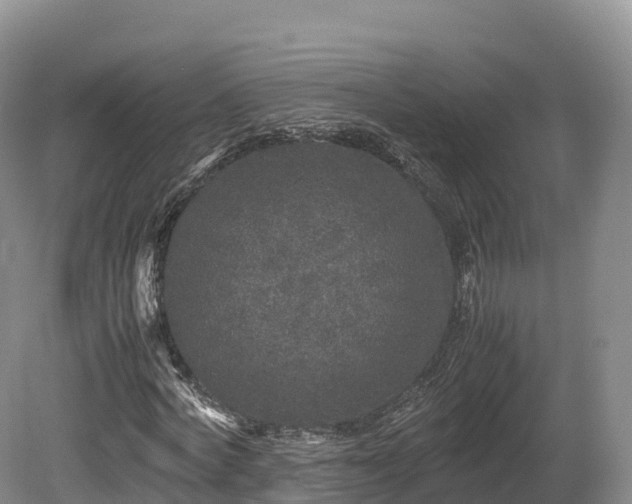 X0000080680772200612221142