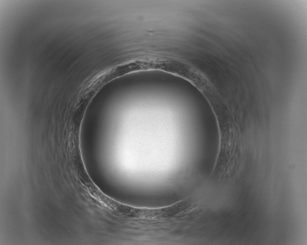 X0000080680773200612221142