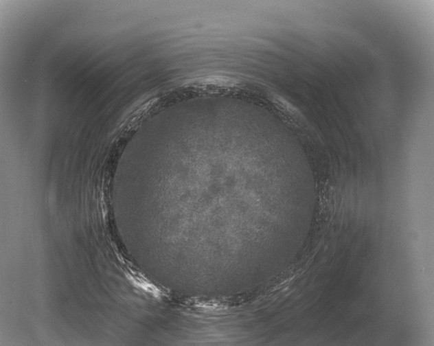 X0000080680774200612221142