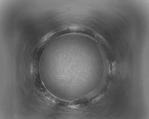 X0000080680776200612221141