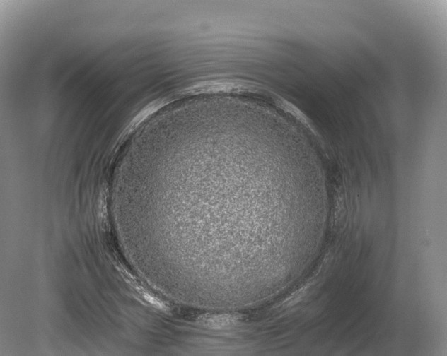 X0000080680778200612221141