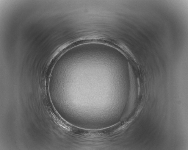 X0000080680781200612221141