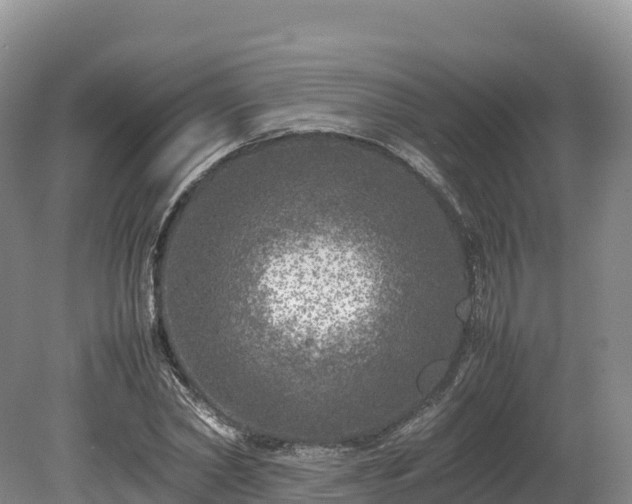 X0000080680782200612221141