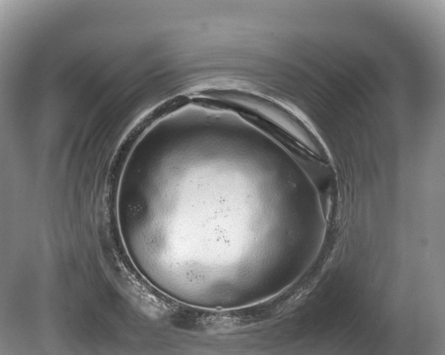 X0000080680783200612221141