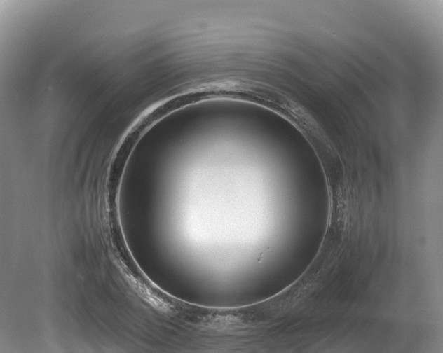X0000080680784200612221141