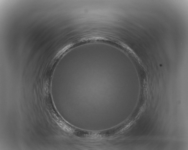 X0000080680785200612221141