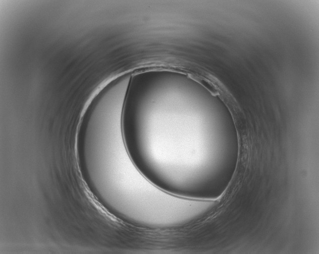 X0000080680788200612221141