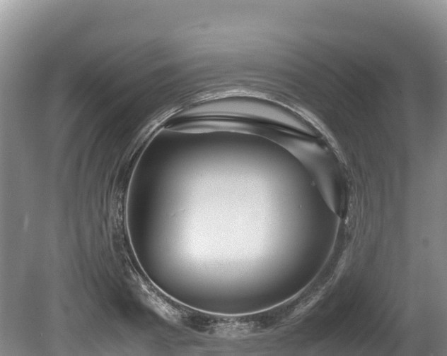 X0000080680793200612221141