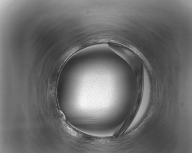 X0000080680801200612221141