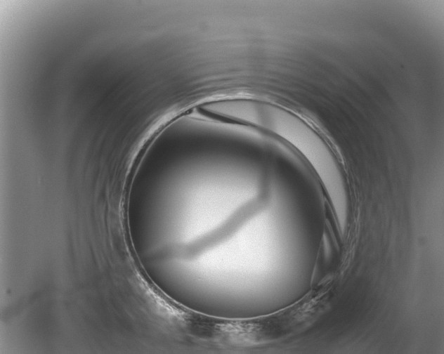 X0000080680805200612221141