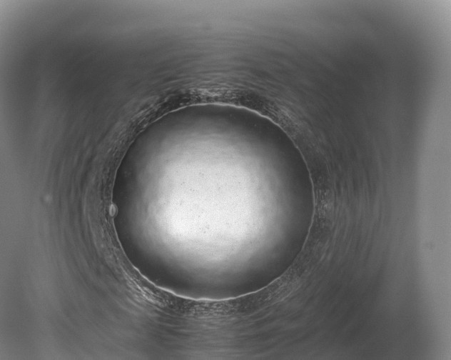 X0000080680817200612221140