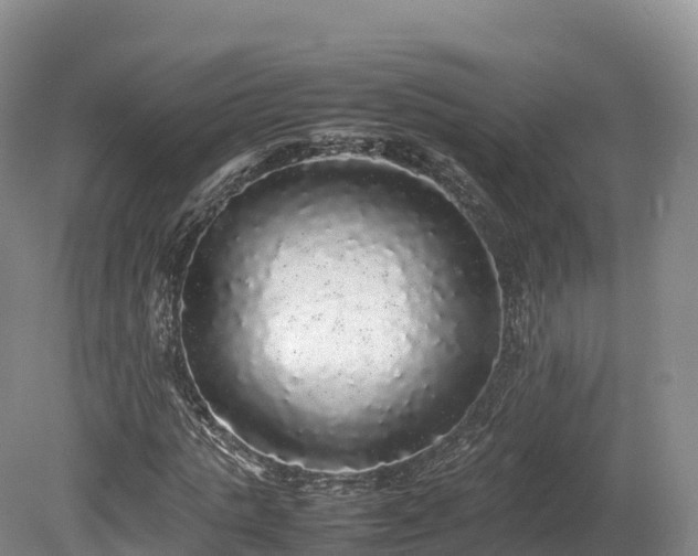 X0000080680821200612221140