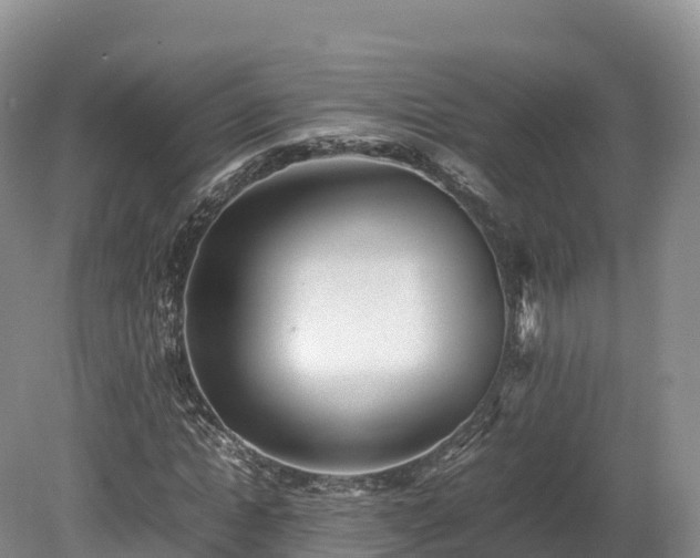 X0000080680822200612221140